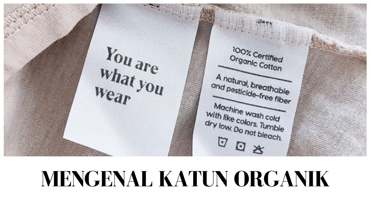 Mengenal Katun Organik & Perbedaan Katun Konvensional